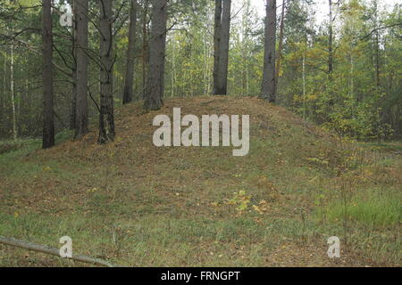 Ancient burial mound Stock Photo - Alamy