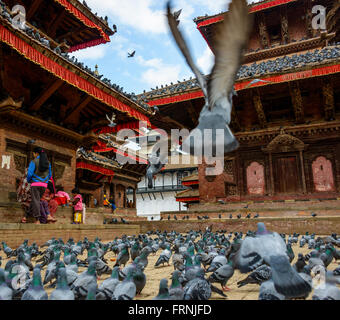 Circa November 2013 in Kathmandu, Nepal: Pigeons at Durbar Square Stock Photo