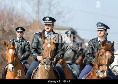 Sofia, Bulgaria - March 19, 2016: Policemen and policewomen from Horse police unit are riding the animals while participating in Stock Photo