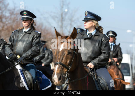 Sofia, Bulgaria - March 19, 2016: Policemen and policewomen from Horse police unit are riding the animals while participating in Stock Photo