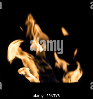 Burning fire flames on a black background. Square image. Stock Photo