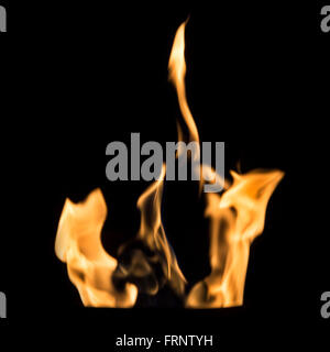 Burning fire flames on a black background. Square image. Stock Photo