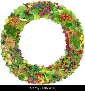 Round circle  photo frame made from summer garden berries and fruits on branches. Abstract handmade isolated  collage Stock Photo