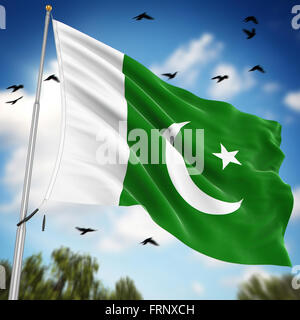 Flag of Pakistan , This is a computer generated and 3d rendered image. Stock Photo