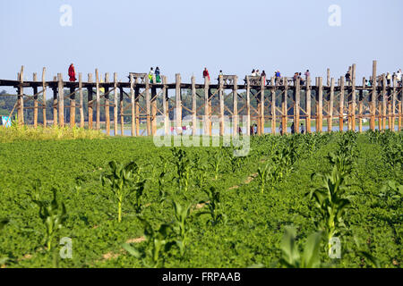 The U Bein Teak Bridge across Taungthaman Lake, Myanmar Stock Photo - Alamy
