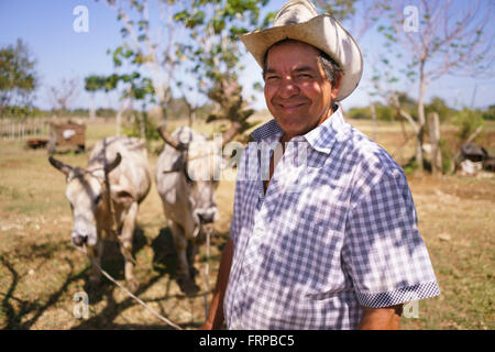 Farming and cultivations in Latin America. Portrait of middle aged hispanic farmer sitting proud in his tractor at sunset, holdi Stock Photo