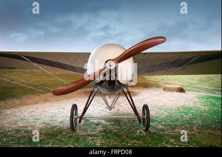 Old vintage monoplane airplane with a wooden propeller parked in a field in a landscape, front view Stock Photo