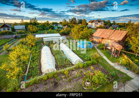 Vegetables Growing In Raised Beds In Vegetable Garden. Summer Season Stock Photo