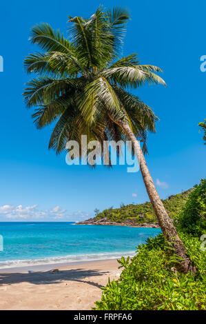 Beach, Seashore, Sea side, Strand, Seaboard, Sea, Ocean, Wild, Nature ...