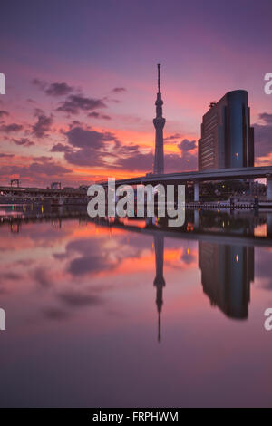 The Tokyo Sky Tree in Tokyo, Japan, reflected in the Sumida River at sunrise. Stock Photo