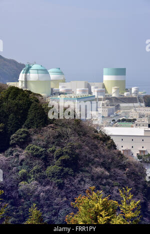 Ehime, Japan. 23rd Mar, 2016. Shikoku Electric Power Co.'s Ikata nuclear power plant reactor buildings one (R), two (C) and three (L) stand at Ikata town in Ehime prefecture, Japan's southern island of Shikoku on Wednesday, March 23, 2016. Japan's nuclear regulation authority approved to reactivate Ikata's reactor three on March 23 despite lingering safety concerns from the 2011 Fukushima nuclear accident. © Yoshio Tsunoda/AFLO/Alamy Live News Stock Photo