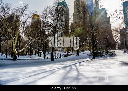 Central Park in winter covered in snow, New York City, USA. Stock Photo