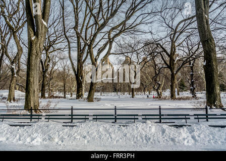 Central Park in winter covered in snow, New York City, USA. Stock Photo