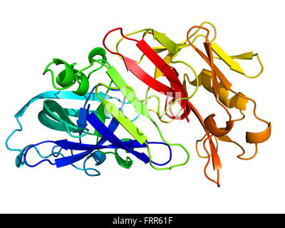 pepsin enzyme experiment