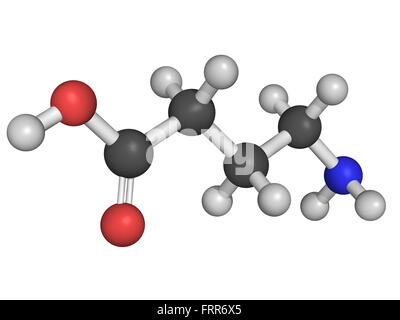 Chemical structure of gamma-aminobutyric acid(GABA), chief inhibitory neurotransmitter Stock Photo