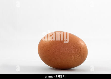 A free range egg with deep brown coloured shell Stock Photo