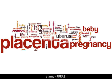 Placenta word cloud concept Stock Photo