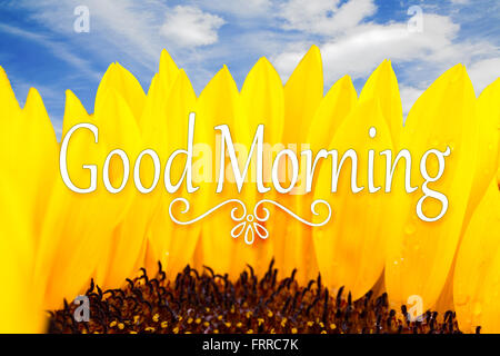 Good Morning inspirational quote on a sunflower. Stock Photo