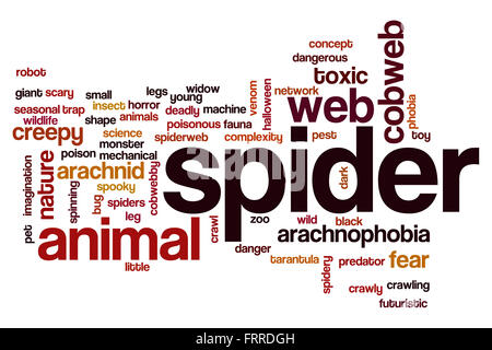 Spider word cloud concept Stock Photo