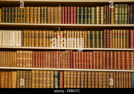 Library bookcases with old books. Shelves full of leather bound books. Stock Photo