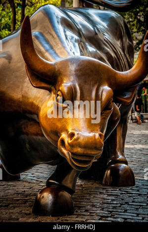 Charging bull Bronze statue by Arturo Di Modica, Broadway, Lower Manhattan, New York City, USA. Stock Photo