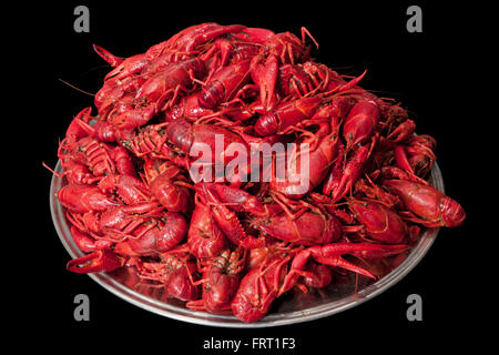 Many red cooked crawfish stacked in a pile on a big metal plate. Isolated on black background Stock Photo