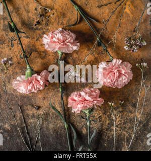 Carnations on the brown stone table square Stock Photo