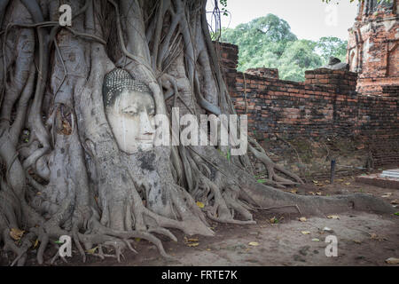 Unseen of Buddha head in root tree at Wat Mahathat. Ayutthaya historical city, Thailand Stock Photo