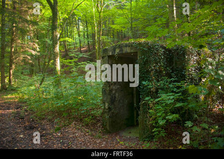 BRD, Nordrhein-Westfalen, Mauerreste der ehemaligen Pulvermühle Aue im Helenental (Tal der Dhünn) bei Altenberg im Rheinisch-Ber Stock Photo