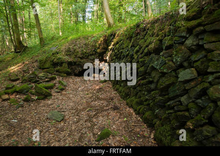 BRD, Nordrhein-Westfalen, Rheinisch-Bergischer Kreis, Mauerreste der ehemaligen Pulvermühle Aue im Helenental (Tal der Dhünn) be Stock Photo