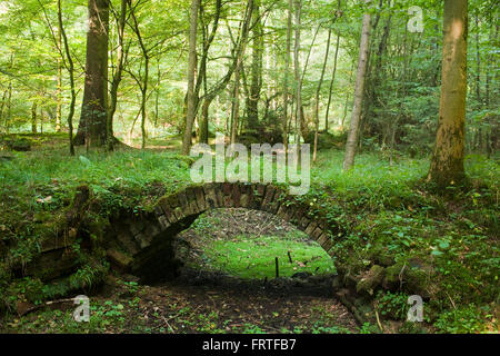 BRD, Nordrhein-Westfalen, Rheinisch-Bergischer Kreis, Mauerreste der ehemaligen Pulvermühle Aue im Helenental (Tal der Dhünn) be Stock Photo