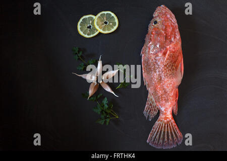 Red Scorpionfish Lemon Garlic Stock Photo