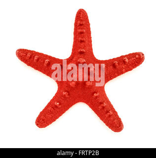 Decorative red sea star on white background Stock Photo