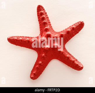 Decorative red sea star on white background Stock Photo