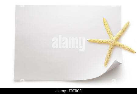 Blank sheet of paper with sea star on white background Stock Photo