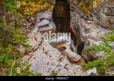 Maligne Canyon in Jasper National Park in the world famous Canadian Rocky Mountains in Alberta, Canada Stock Photo