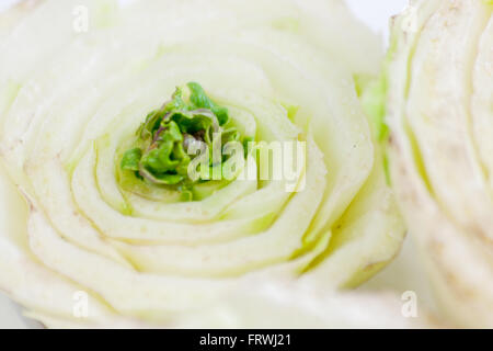Chinese cabbage. Slicing vegetables edgewise and the germination of the crop. Stock Photo
