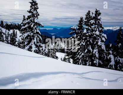 View of Howe Sound from the Elfin Lakes trail, Garibaldi Park, BC Stock Photo