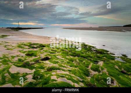 Hayle Estuary; Cornwall; UK Stock Photo