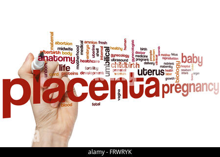 Placenta word cloud concept Stock Photo