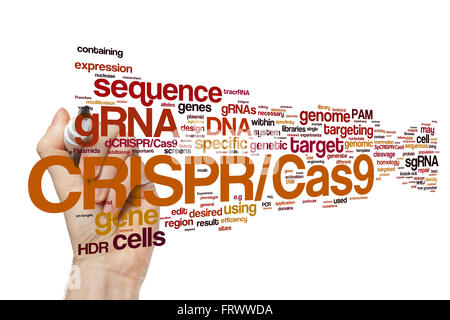 Hand writing CRISPR/Cas9 system for editing, regulating and targeting genomes (biotechnology and genetic engineering) word cloud Stock Photo