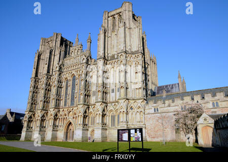 Wells Cathedral in the Englisg county of Somerset. The present cathedral dates from about 1175 and is built in the Gothic style. Stock Photo