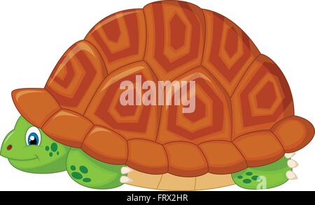 Turtle hiding in his shell Stock Vector