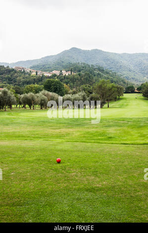 Golf ball on a golf course, Garlenda, province of Savona, Italian Riviera, Liguria, Italy Stock Photo