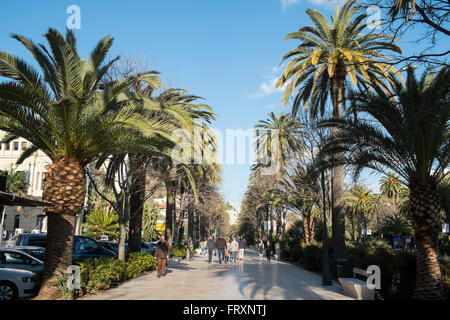 Paseo del parque. Málaga. Stock Photo