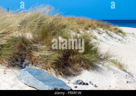 Sand dunes Lighthouse Beach Bunbury Western Australia. Stock Photo