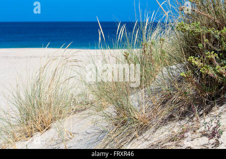 Sand dunes Lighthouse Beach Bunbury Western Australia. Stock Photo