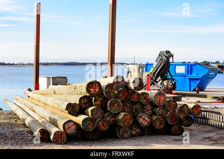 Torhamn, Sweden - March 18, 2016: A pile of numbered timber logs by the seaside. A floating crane and a container in background. Stock Photo