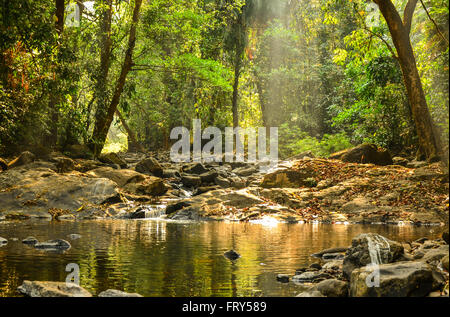 Scenic nature pathway to Tambdi Surla Waterfalls though the evergreen ...