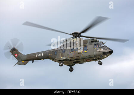 Aerospatiale AS332 (TH89) Super Puma Military helicopter T-313 from the Swiss Air Force (Schweizer Luftwaffe) Stock Photo